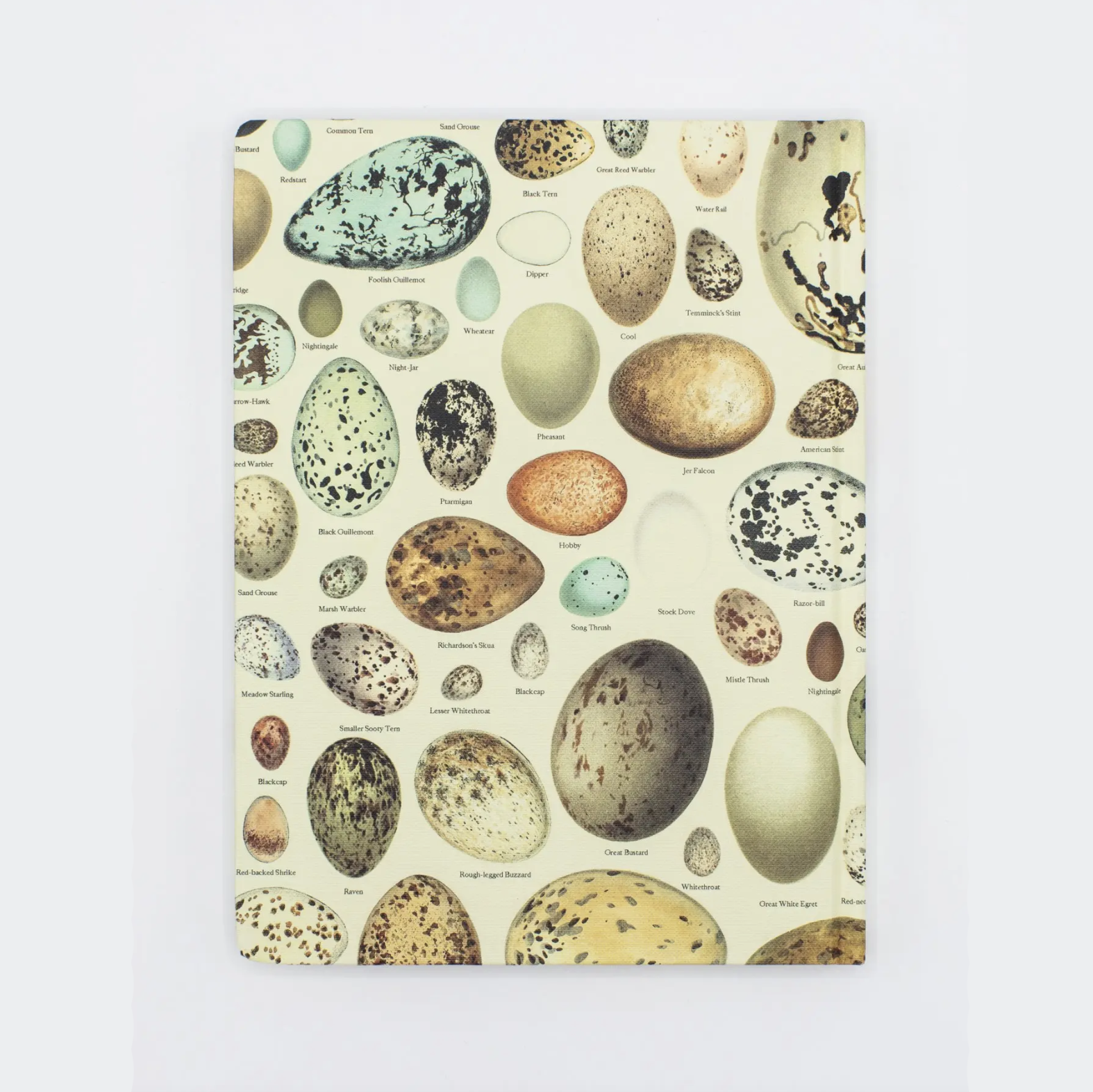 50% Off • Hardcover Notebook Dot Grid • Eggs