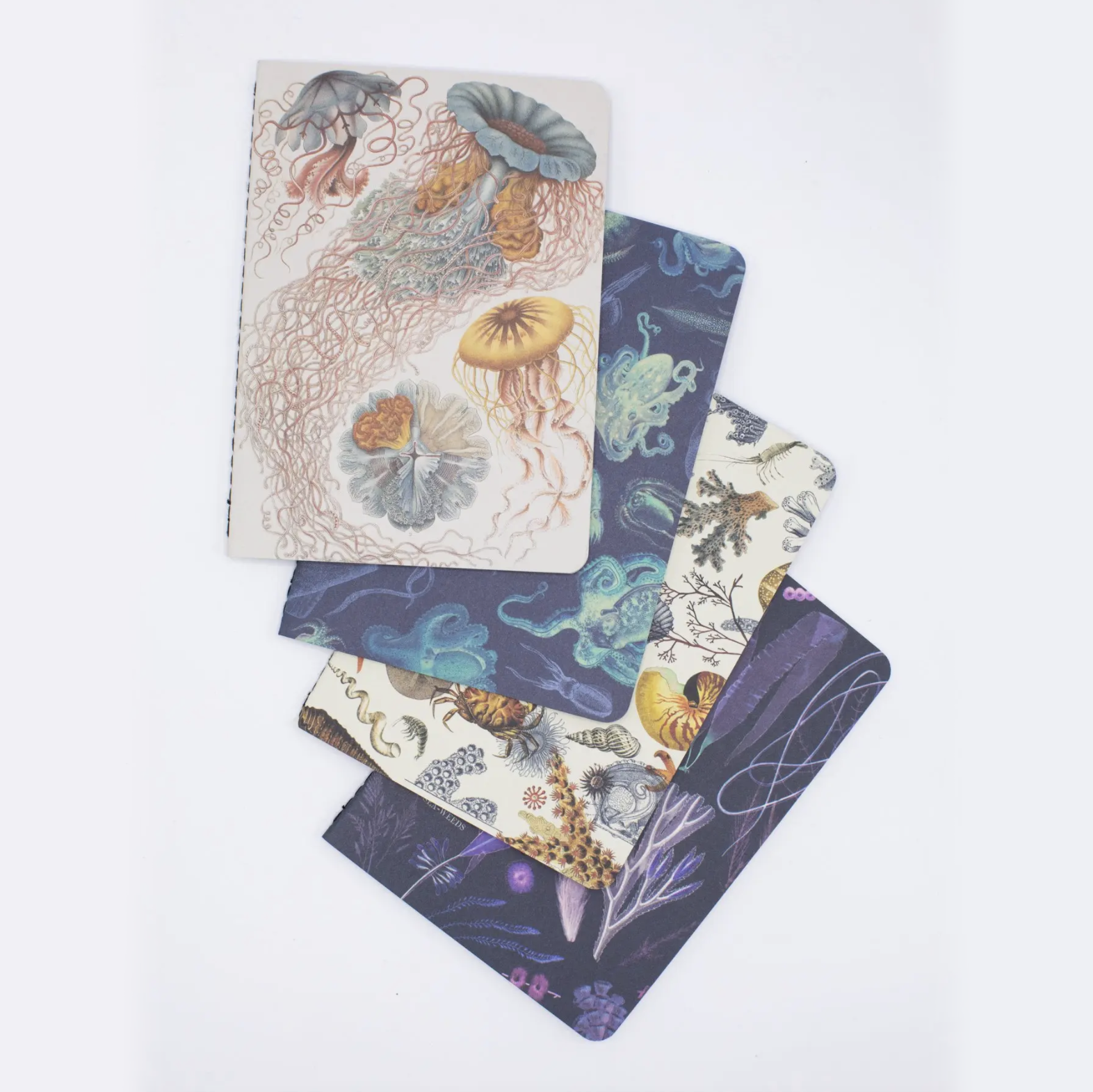 50% Off • Pocket Notebook 4-Pack • Ocean