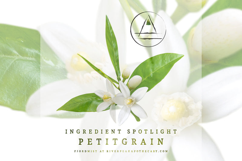 Ingredient Spotlight: Petitgrain