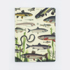 50% Off • Hardcover Notebook Lined & Grid • Freshwater Fish