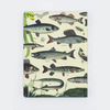 50% Off • Hardcover Notebook Lined & Grid • Freshwater Fish