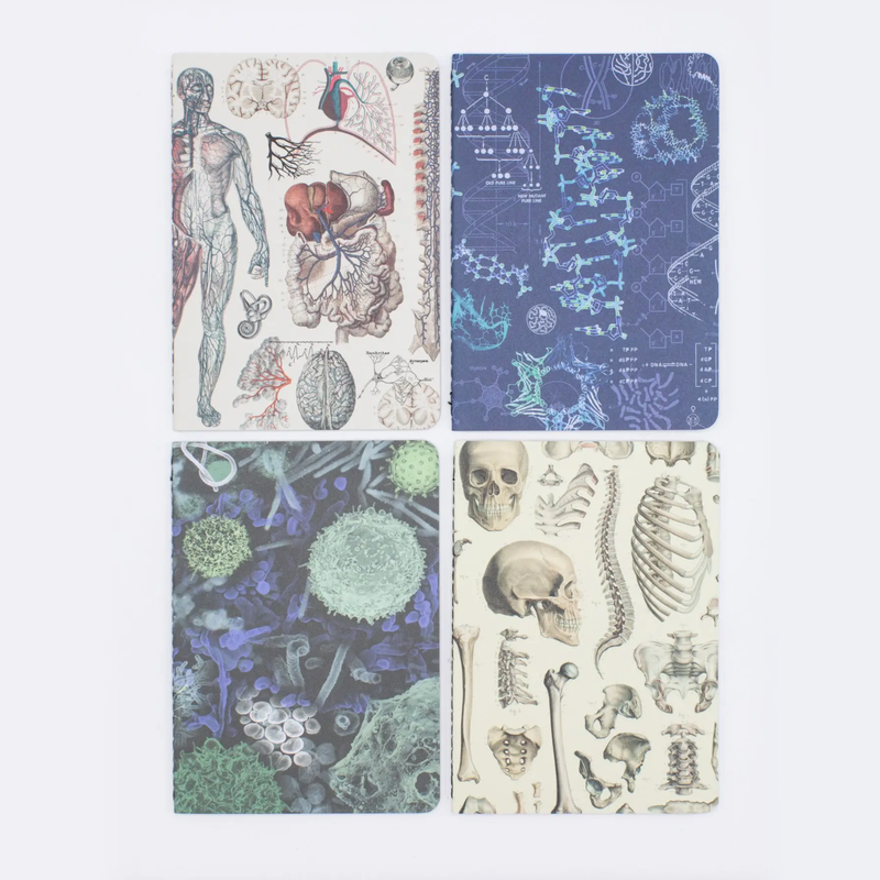 50% Off • Pocket Notebook 4-Pack • Human Physiology