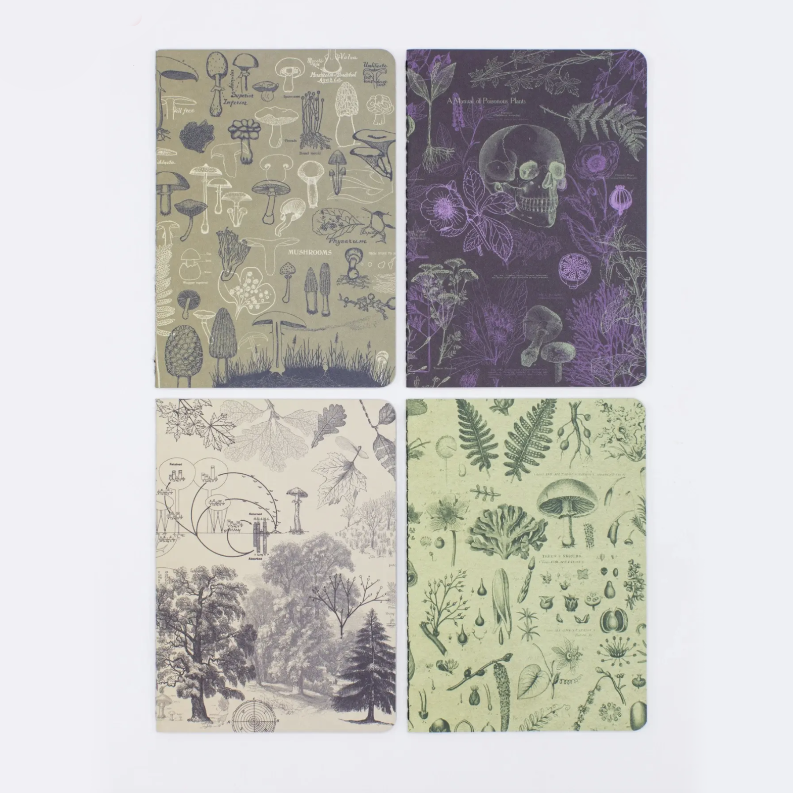 Pocket Notebook 4-Pack • Plants + Fungi