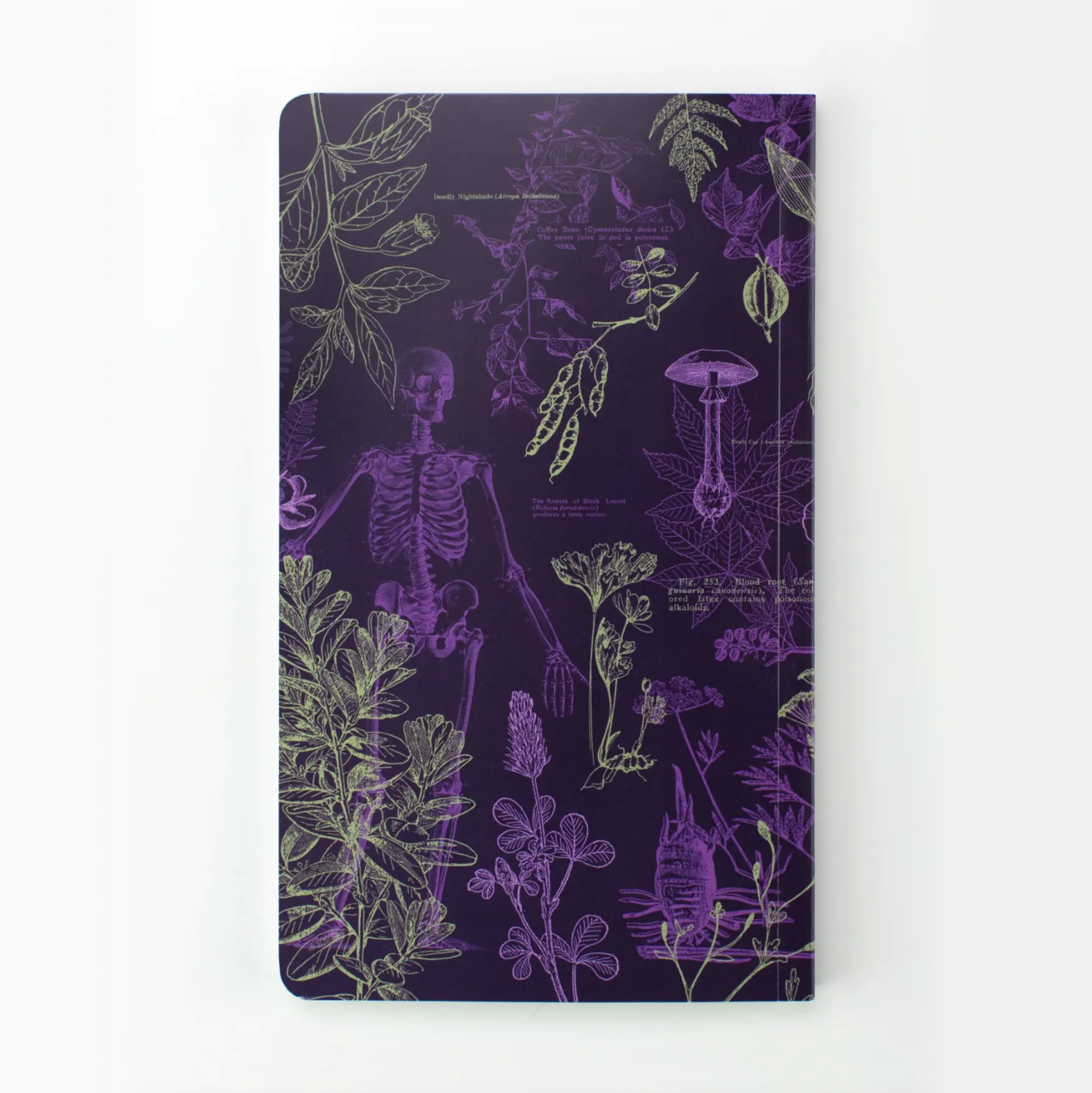 Yearly Planner • Poisonous Plants